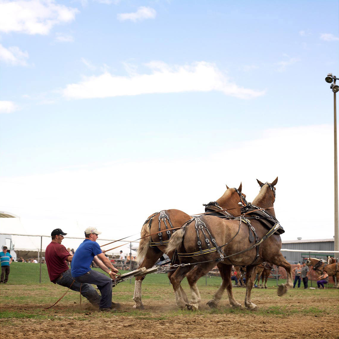 COUNTY_FAIRS21